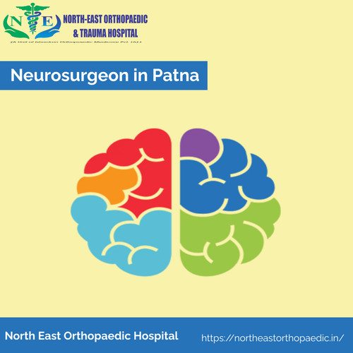 Neurosurgeon in Patna: North East Orthopaedic Hospital.jpg
