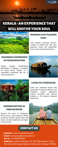 kerala an experience that will soothe your soul.png