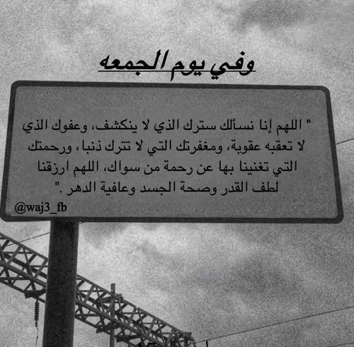 9BCF002E C6DE 49C9 979D B48CC8E80205.jpg