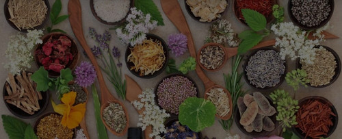 Wholistic GP | Ckhealth.com.au.jpg