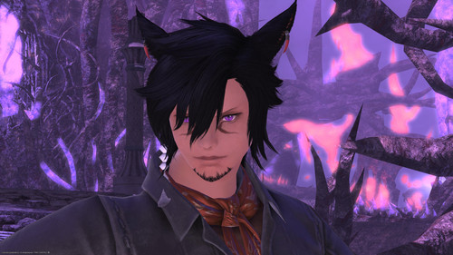 188b0e2a95c31 screenshotUrl.jpg