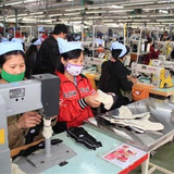 2212 CÔNG TY TRÁCH NHIỆM HỮU HẠN VIENERGY (2)