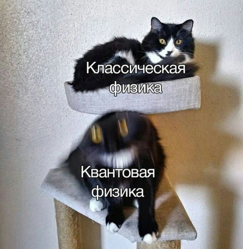 FpRmRnNXgAAwz9H.1