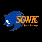 Sonic logo.png