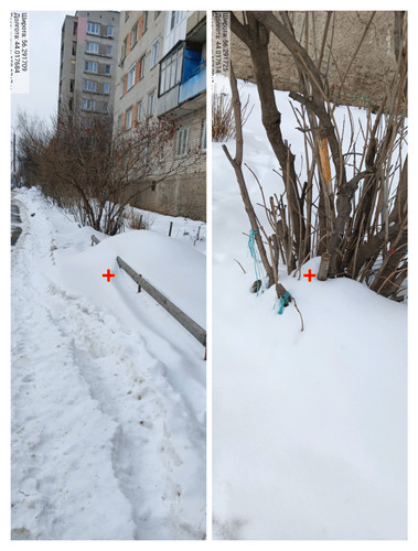 IMG 20230225 051046.jpg