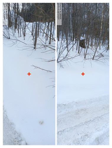 IMG 20230225 051957.jpg