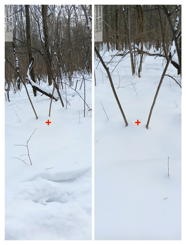 IMG 20230225 050655.jpg