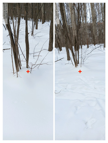 IMG 20230225 045827.jpg