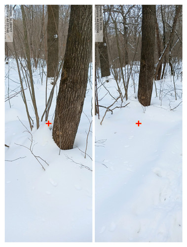 IMG 20230225 045711.jpg