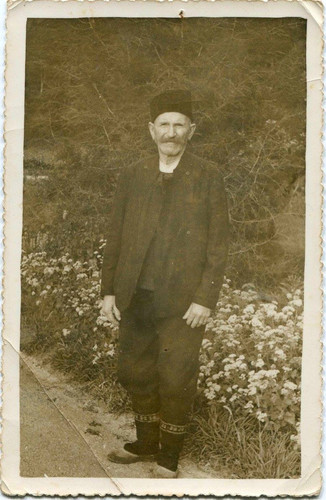 13112882 1367529473274827 312459890867066403 o.jpg