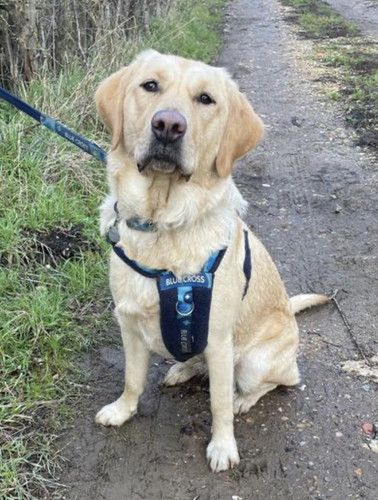 84D794AE 43EA 4B29 8A22 F43571D95410.jpg