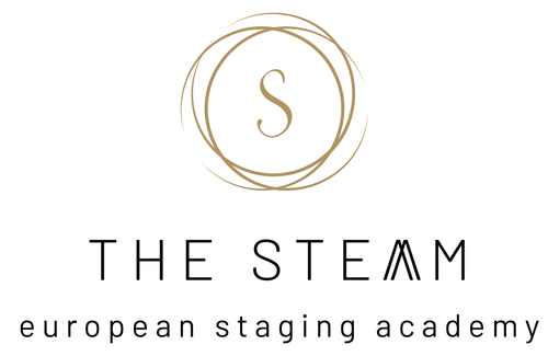 THE STEAM colori.png