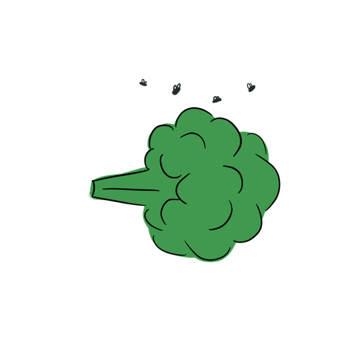 IMG 0370.png