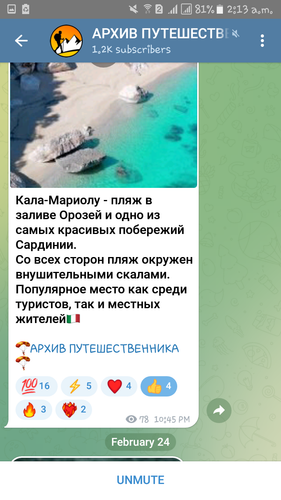 Screenshot 20230225 021336.png