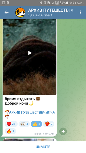 Screenshot 20230225 021332.png