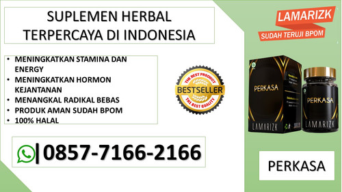 perkasa (1).jpg