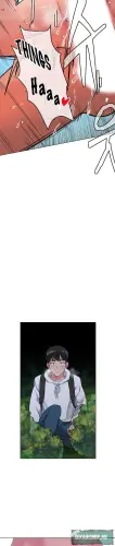9.webp