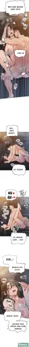 12.webp