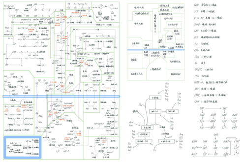 IMG 20230224 201224.jpg