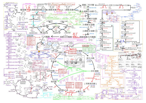 mmexport126a30cb6eded2f04da058e27b1d84ef 1676699553509.jpg