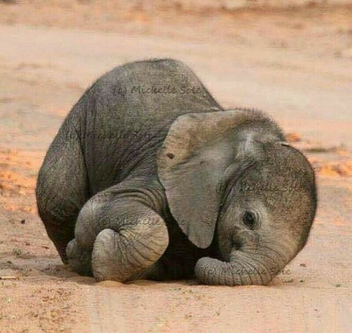 B2517D49 16A8 479A B3FA E82E193F9098.jpg