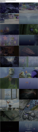 Finding.Nemo.2003.UHD.BluRay.2160p.MultiAudio.TrueHD.Atmos.7.1.x265.10bit.HDR BeiTai.mkv.jpg