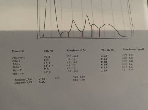 A7EB2FE1 6959 4404 BC42 7160C385231F.jpg