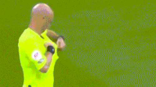 rc (1).gif