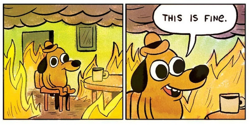 this is fine custom dcb93e90c4e1548ffb16978a5a8d182270c872a9 s800 c85.jpg