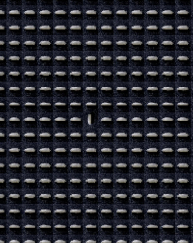 1677301970059.jpg