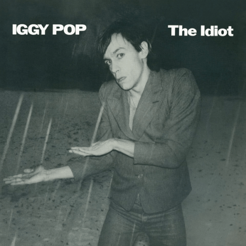 Iggy Pop - The Idiot.gif