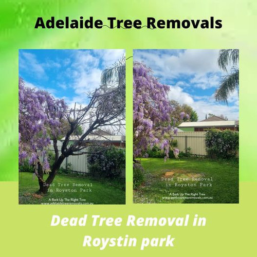 296076413 5055384181239220 3292639840914889864 n.jpg