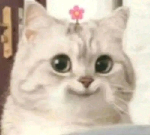 1677250456968.jpg