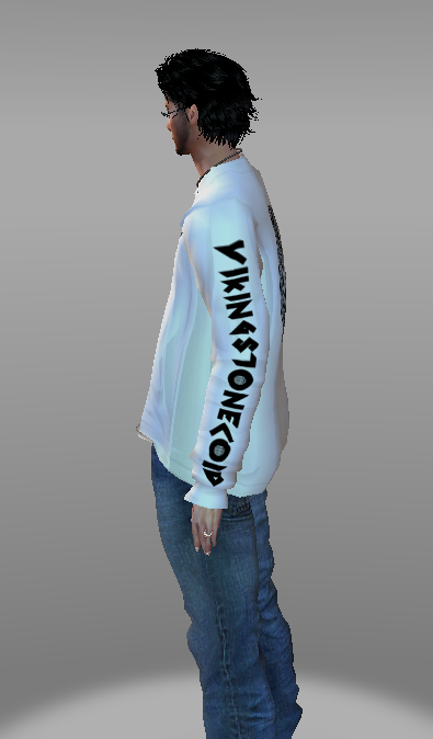 vik2.png
