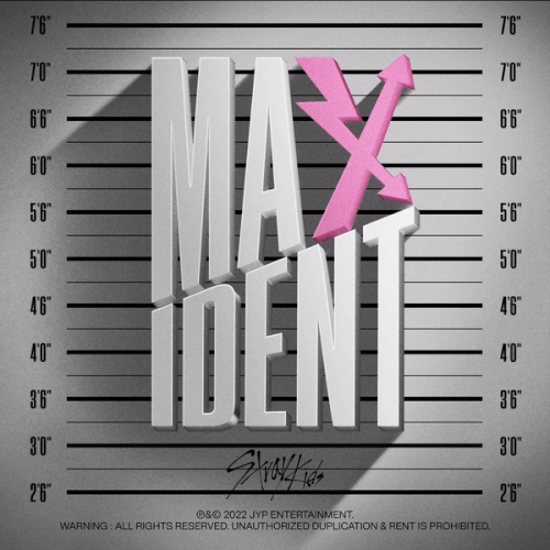 Stray Kids - Maxident.gif