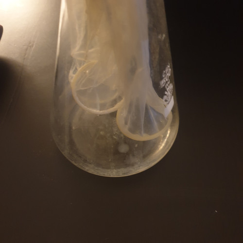 20221120 080131.jpg