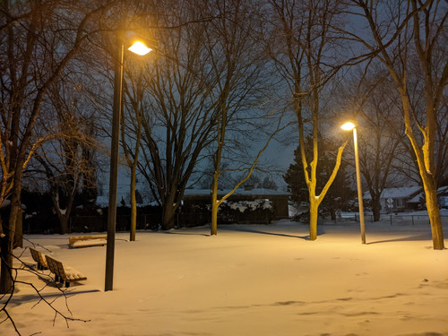 PXL 20230205 225638160.jpg