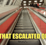 escalated.gif