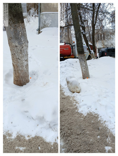 IMG 20230225 050924.jpg