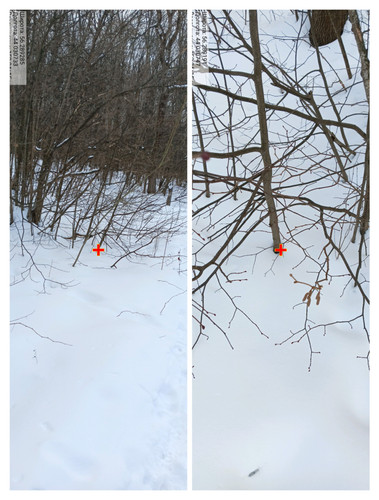 IMG 20230225 045651.jpg