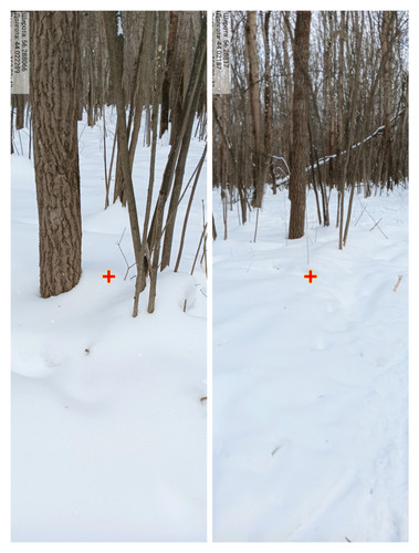 IMG 20230225 050628.jpg