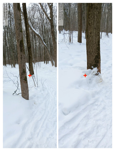 IMG 20230225 050011.jpg