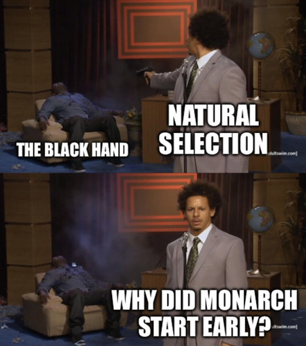 CAC9116B 5522 4E7D B4BB 468AC7BF0F12.jpg