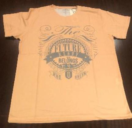 Tshirt Future Salmao.png