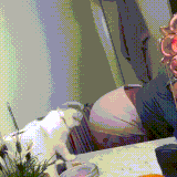 kotdeva.gif