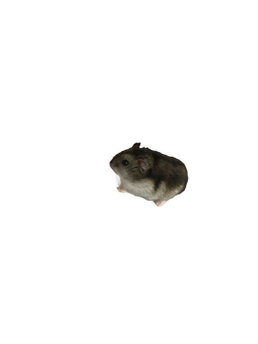 IMG 9520 clipdrop background removal.png
