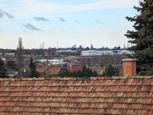 PXL 20230226 081023580.jpg