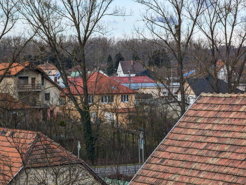 PXL 20230226 081018349.jpg