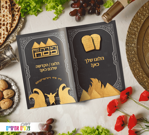 דגם משה זהב.png