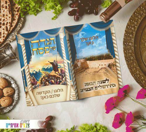 דגם ים סוף.png